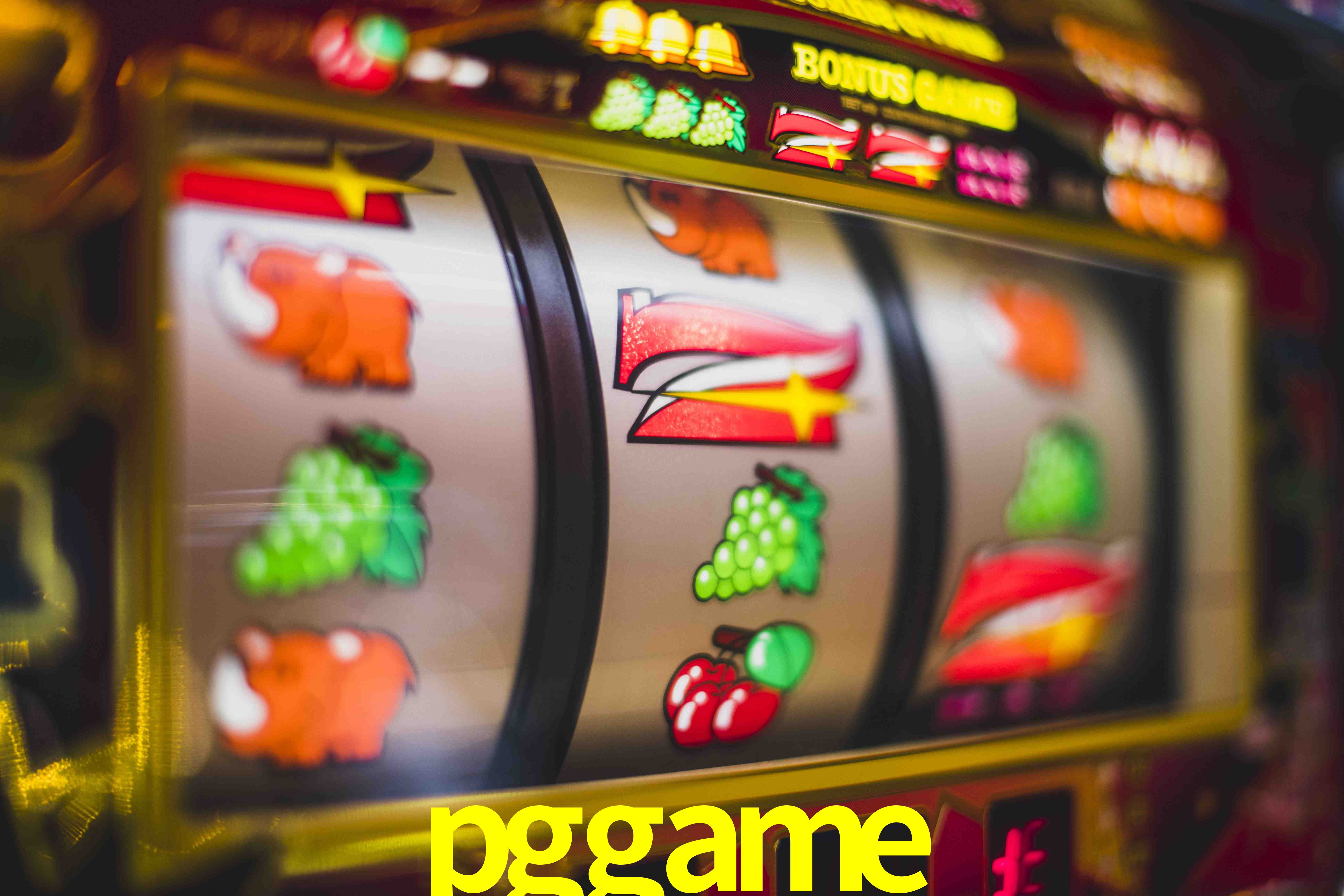 Experiência VIP pggame